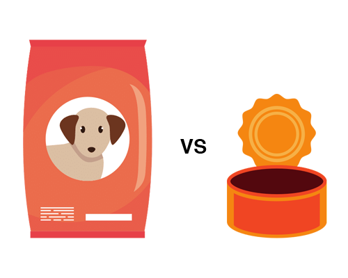wet canned dog food vs dry kibble comparison