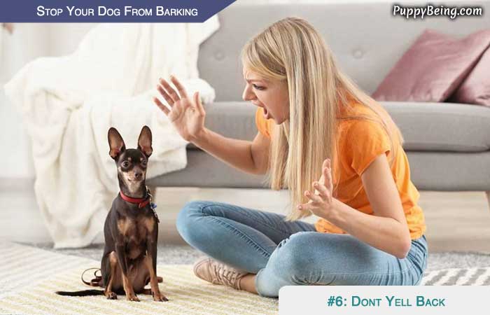 Stop Your Dog From Barking At People Animals Objects 02 Dont Bark Back