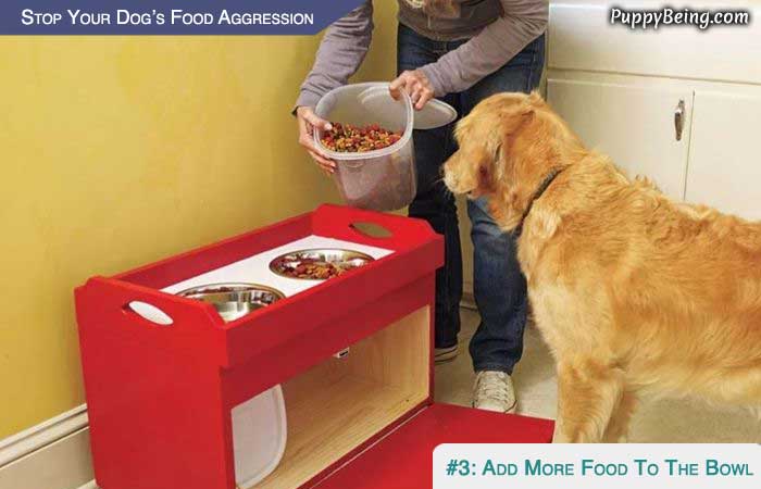Stop Your Dog From Being Food Aggressive 03 Add More Food To The Bowl