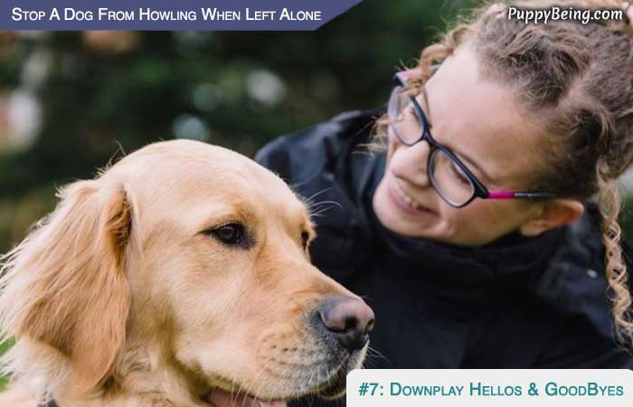 Stop Your Dog From Howling When Left Alone 01 Downplay Hellos And Goodbyes