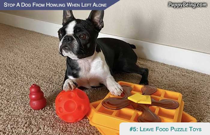 Stop Your Dog From Howling When Left Alone 03 Leave Food Puzzle Toys