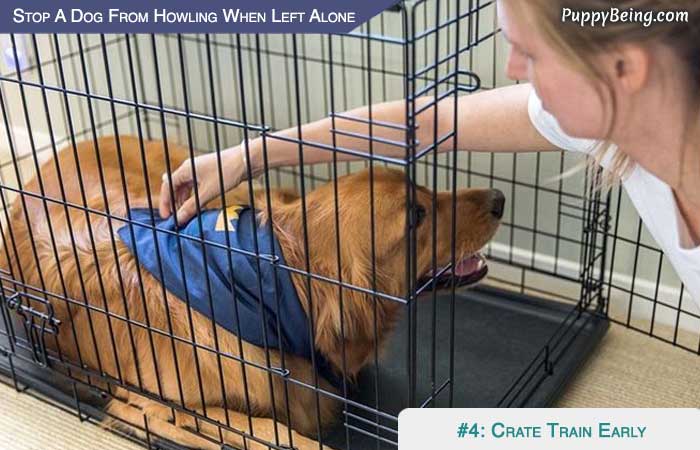 Stop Your Dog From Howling When Left Alone 04 Crate Train