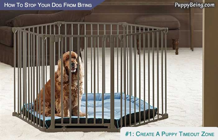 Stop Your Puppy From Biting Your Hands Feet Possessions 07 Create A Timeout Puppy Zone