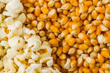 can dogs eat corn popcorn