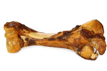 can dogs eat cooked bones