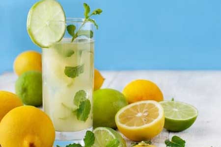 can dogs eat lemons limes juice