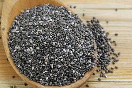 can dogs eat chia seeds