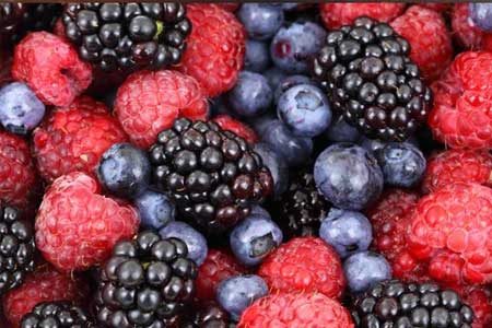 can dogs eat strawberries blueberries raspberries