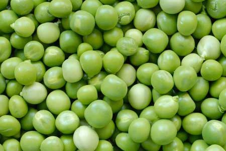 can dogs eat green peas