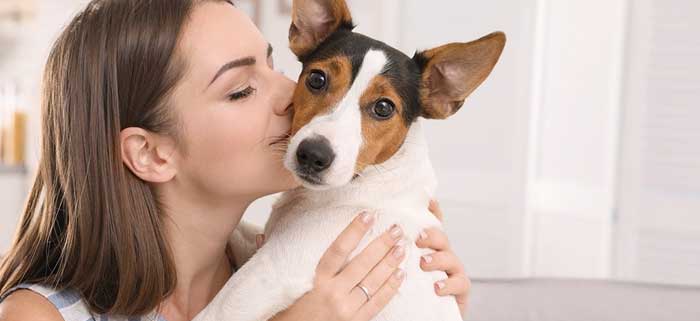 downplay greetings to deal with separation anxiety in dogs
