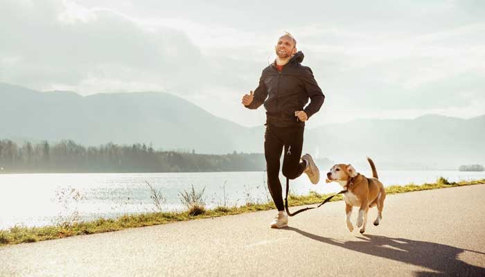 dogs improve heart bone health