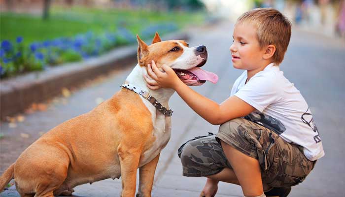 dogs help children with learning disabilities
