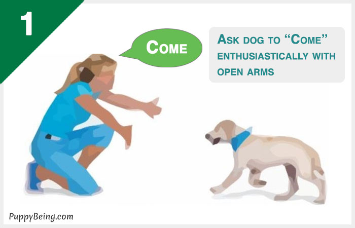 how to teach a dog to come when called 01 call with open arms