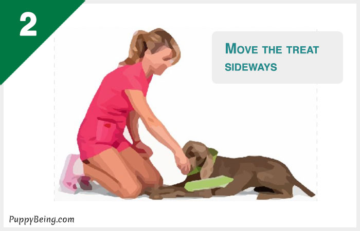 how to teach a dog to roll over 02 move treat beside head
