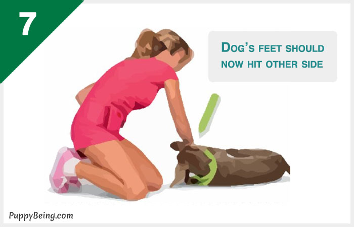 how to teach a dog to roll over 07 feet to floor