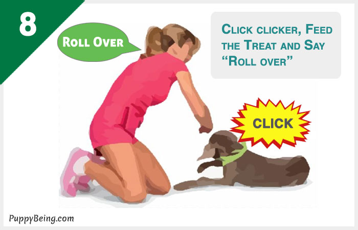 how to teach a dog to roll over 08 click reward
