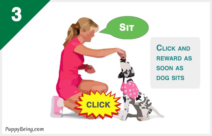 how to teach a dog to sit 03 click sit treat
