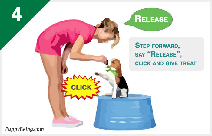 how to teach a dog to stay 04 reward and click